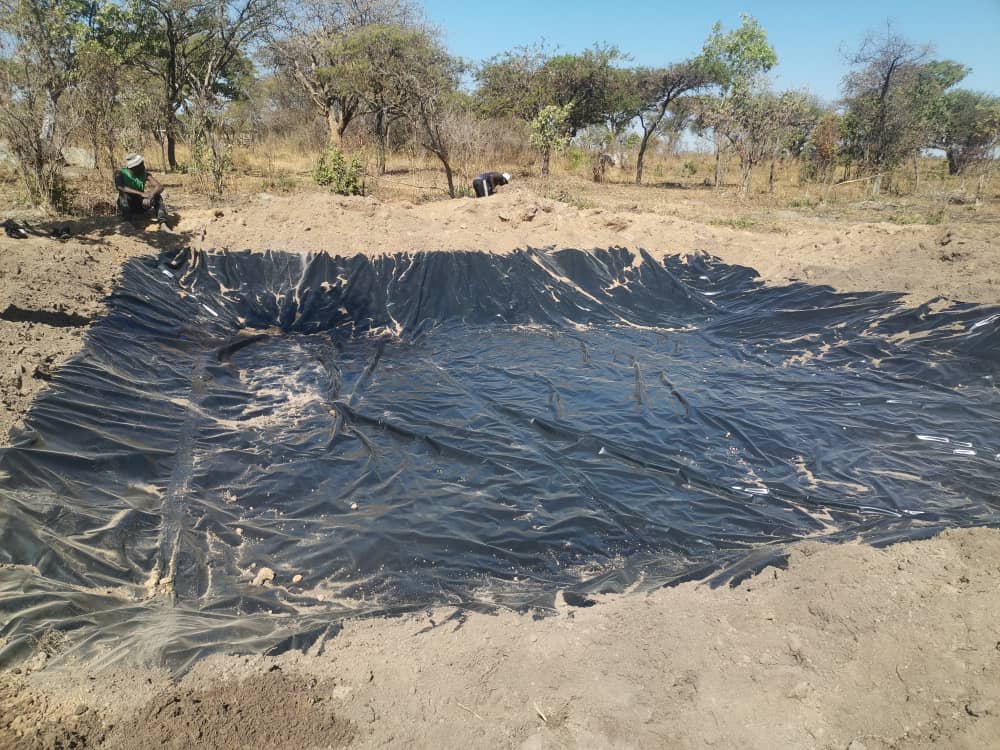 Fish Pond Construction